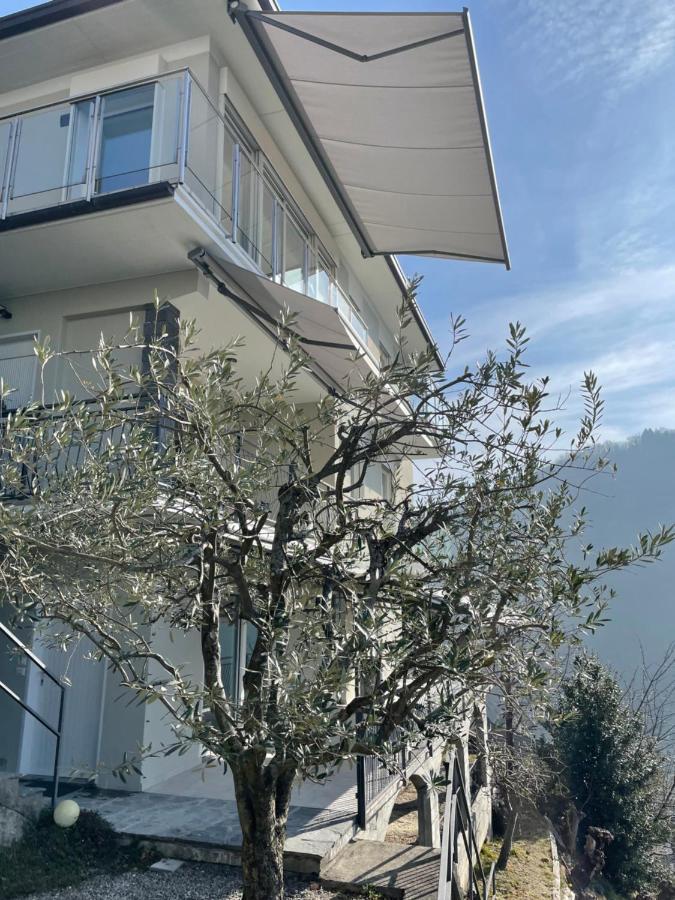 Casa Colmegna Mit Traumhaften See- Und Bergblick Luino Dış mekan fotoğraf