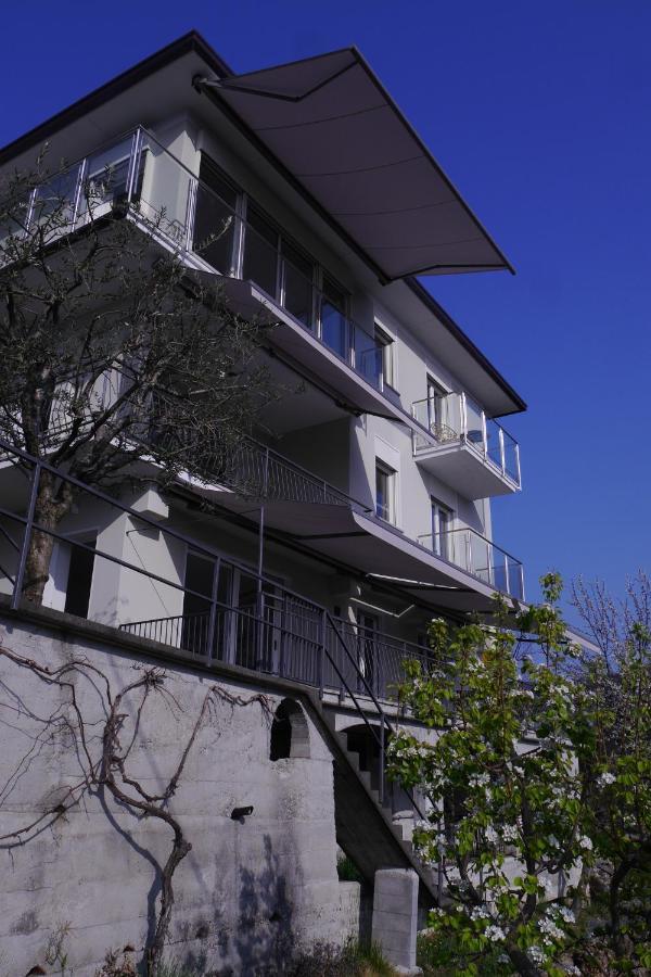 Casa Colmegna Mit Traumhaften See- Und Bergblick Luino Dış mekan fotoğraf