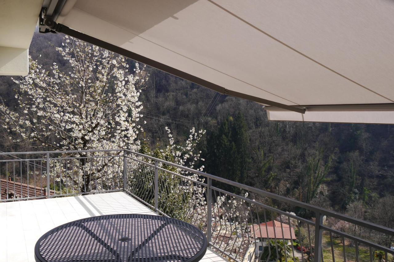 Casa Colmegna Mit Traumhaften See- Und Bergblick Luino Dış mekan fotoğraf